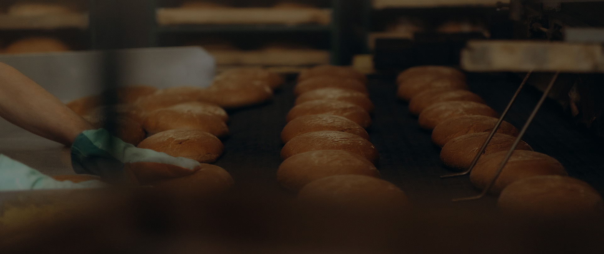 Чжэцзян Сяфэн Precision Die Casting Co., Ltd.